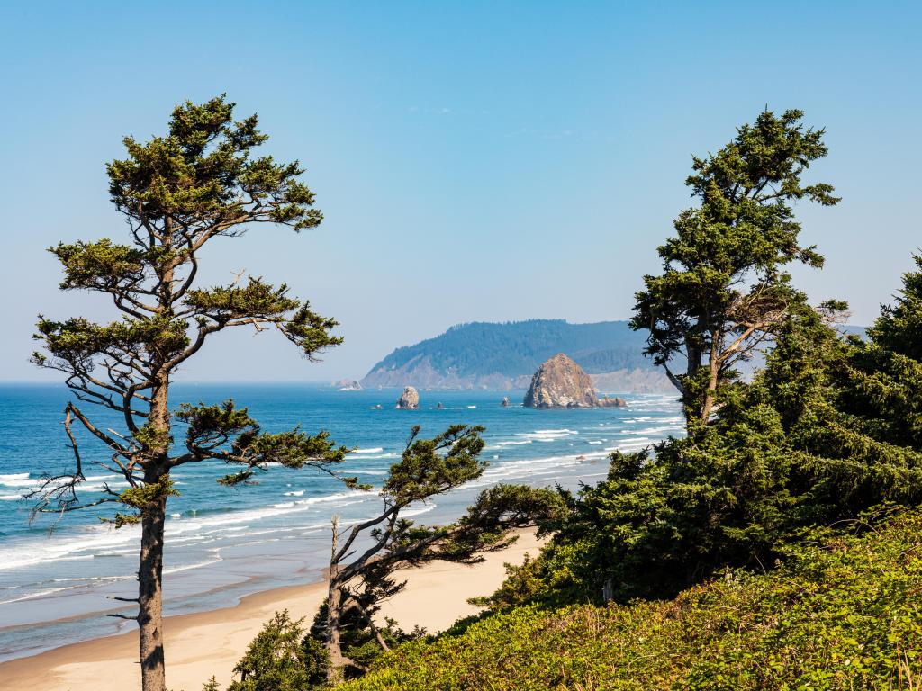 Cannon Beach, Oregon, USA with green trees in the foreground with a view down the beach towards Haystack Rock on a sunny day.
