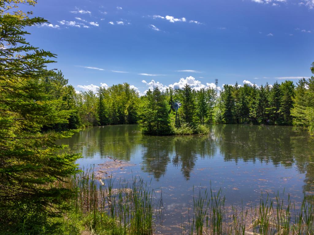 Lamoureux Park, Ontario, Canada with a view of the beautiful park and a large pond surrounded by trees on a clear sunny day.
