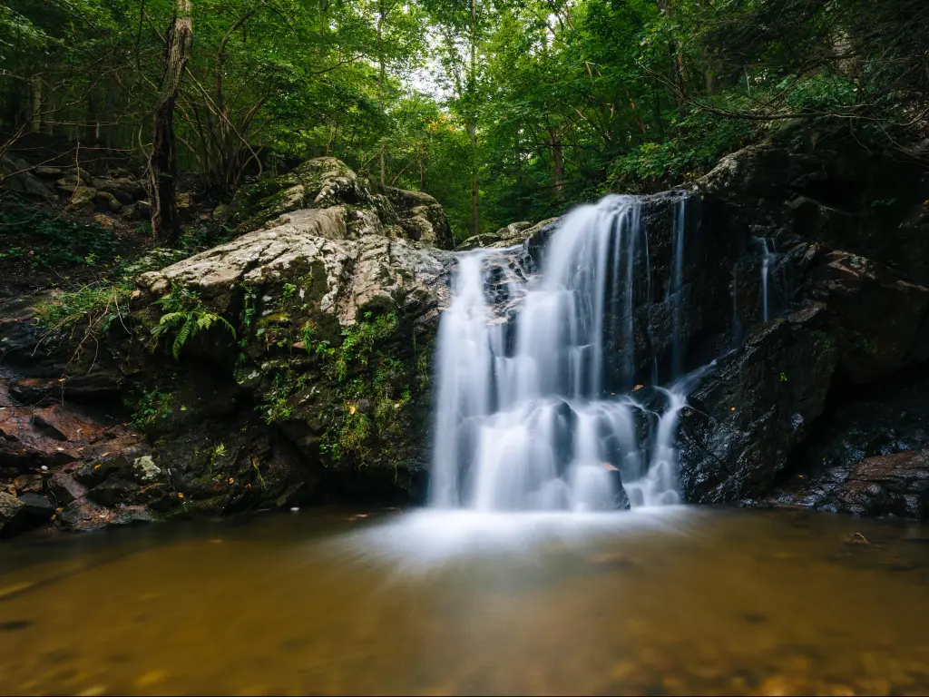 Patapsco Valley State Park, in Maryland, USA with Cascade Falls in the foreground and a dense forest behind.