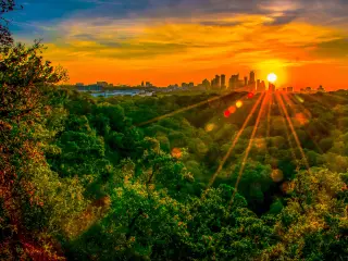 Green forest trees in the foreground with a bright setting sun picking out the city skyline in the distance