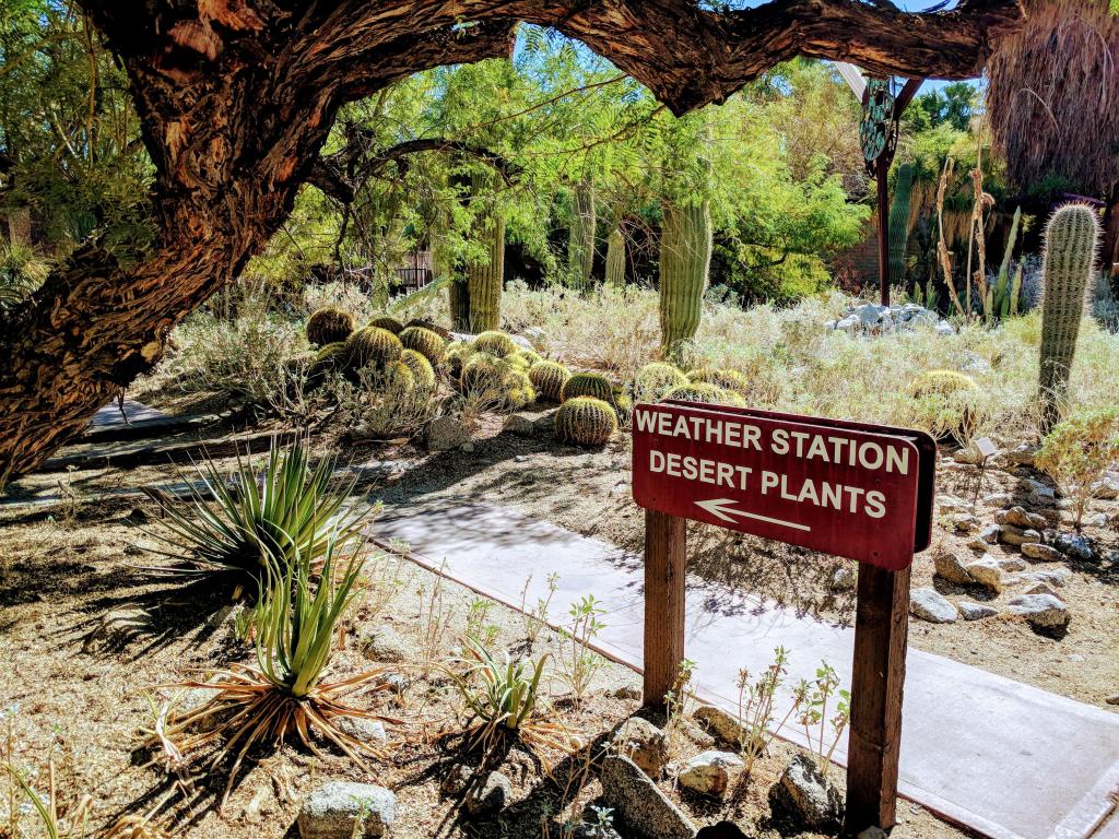 Desert Garden and Directional Sign at the Living Desert Zoo and Gardens
