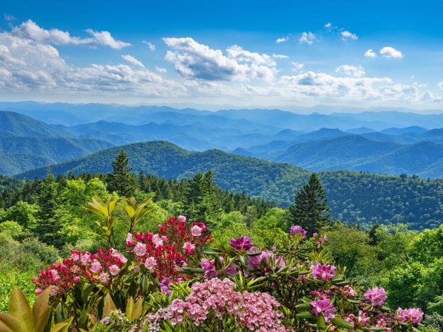 Lovely blossoms adorn the mountain peaks with green hills, fields, and the vast sky forming a picturesque backdrop