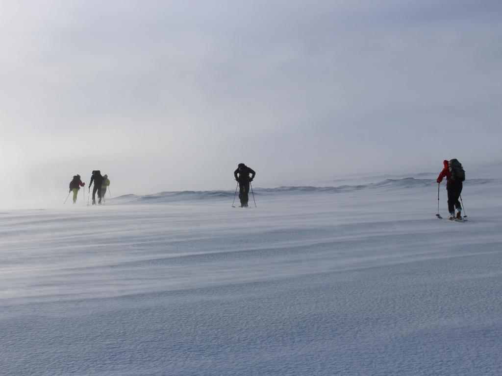 A group of ski mountaineers climbing up in a very strong wind. Winter in Scotland in Cairngorm Mountains.