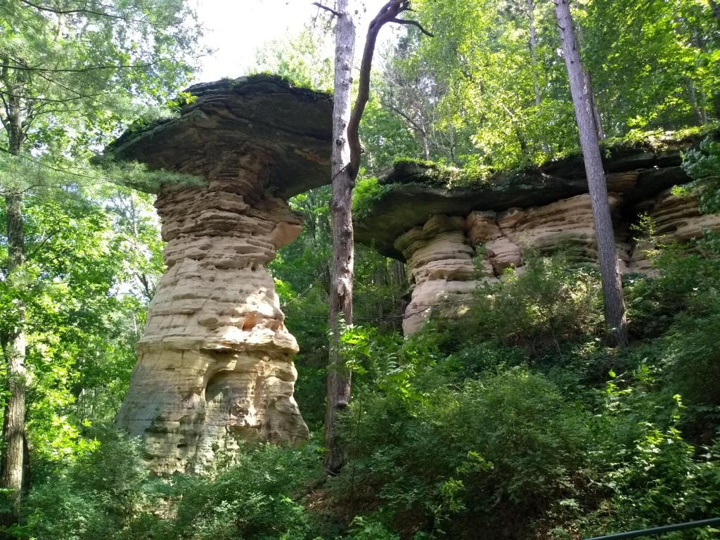 Unique rock formations in the forest at Wisconsin Dells