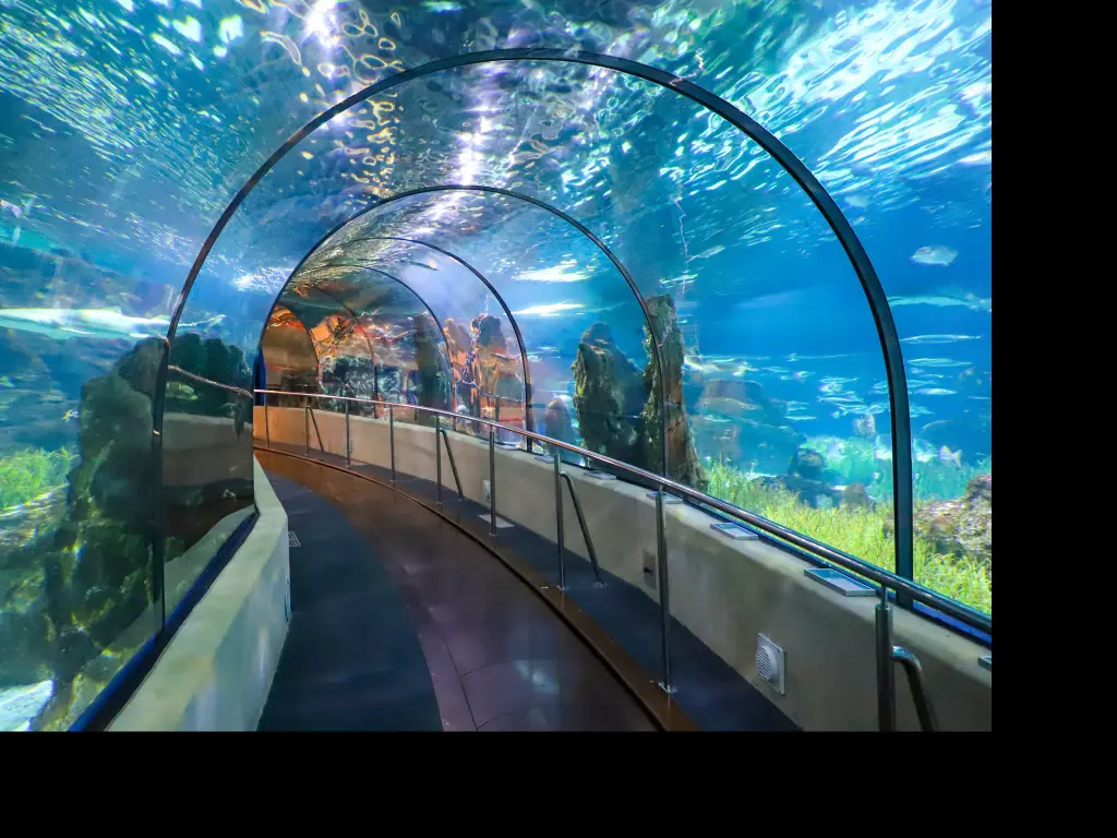 Underwater Tunnel In Barcelona's L'Aquarium - a great thing to do with kids