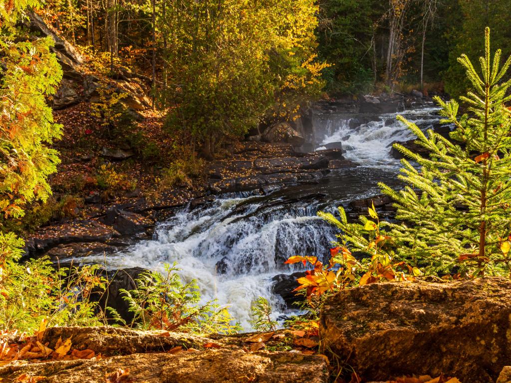 Waterfall cascading over rocks with golden fall colours