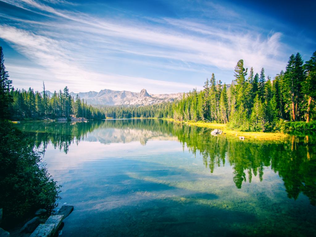 Mammoth Lakes surrounded by a pine forest with mountains in the background.