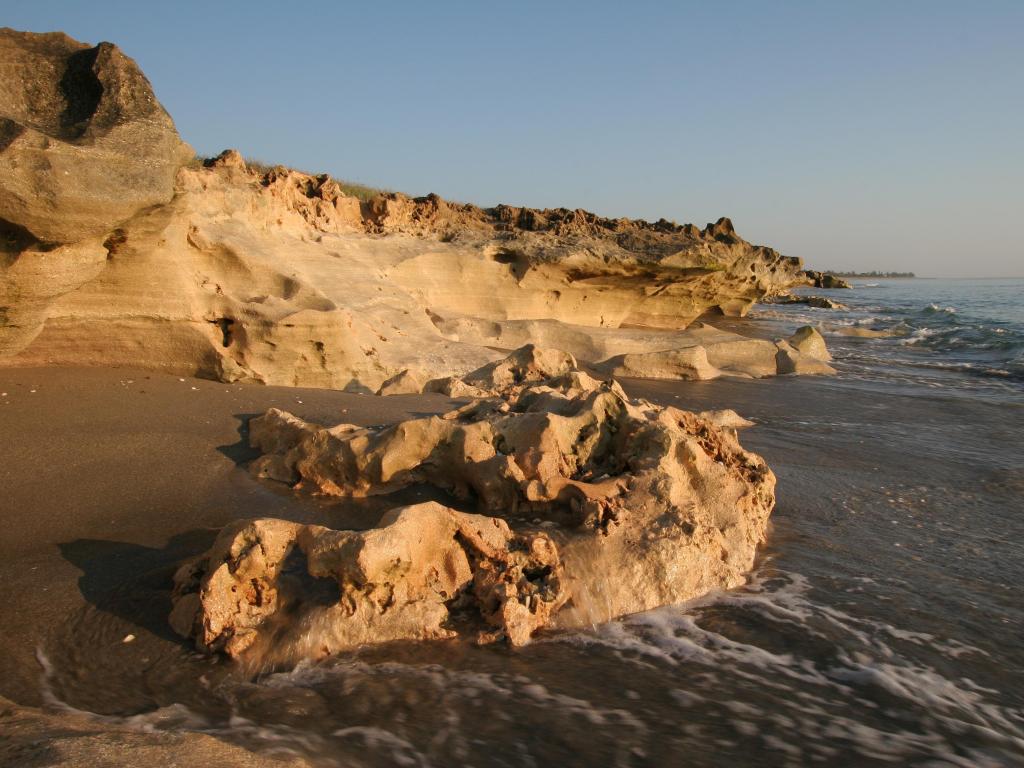 Anastasia limestone outcropping in Blowing Rocks Preserve 