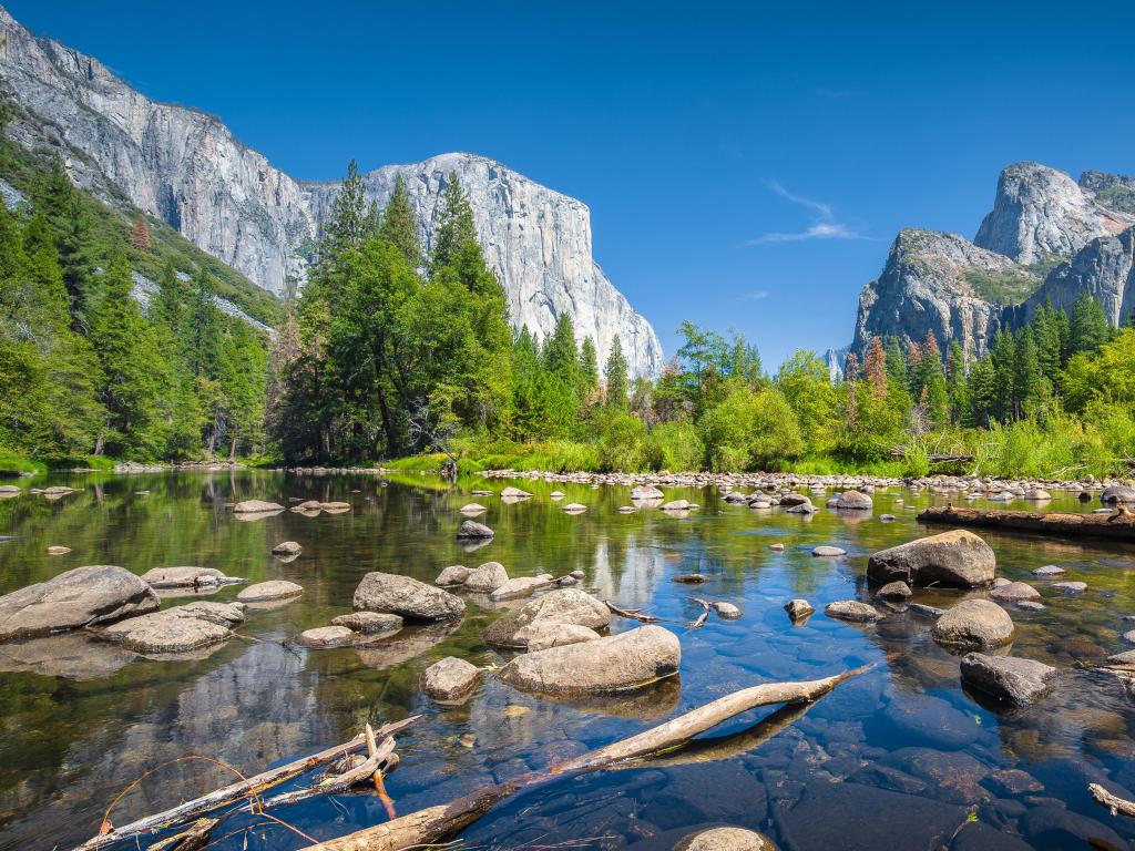 Yosemite National Park, California, USA with a classic view of scenic Yosemite Valley with famous El Capitan rock climbing summit and idyllic Merced river on a sunny day with blue sky and clouds in summer, Yosemite National Park, California, USA