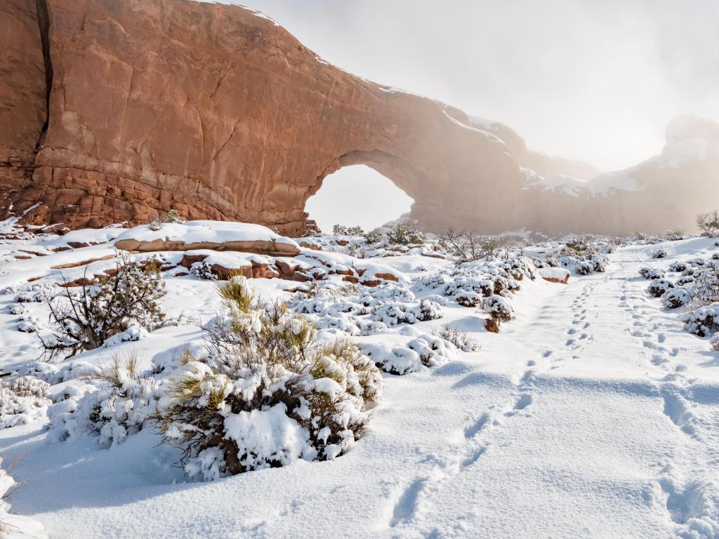 Footprints in snow lead past an arch in Arches National Park, Utah.