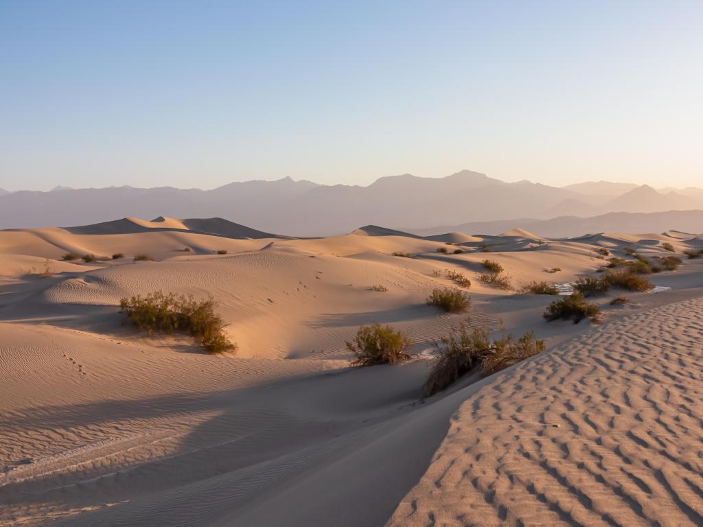 Mesquite Flat Sand Dunes, Death Valley National Park, California, USA with a scenic view of natural ripple sand patterns during sunrise in the Mojave desert with Amargosa Mountain Range in the distance. 