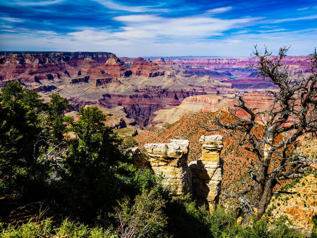 Grand Canyon National Park, Arizona, USA with an epic view of the canyons against a blue sky.