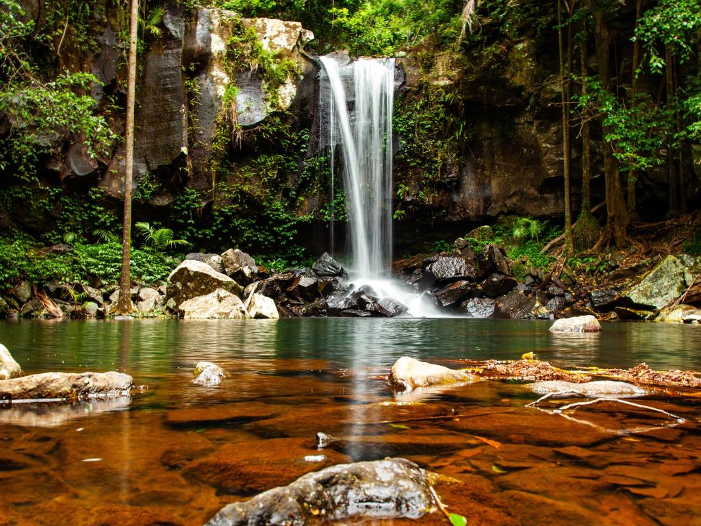 Gushing waterfalls at Cedar Creek Falls Gold Coast Australia