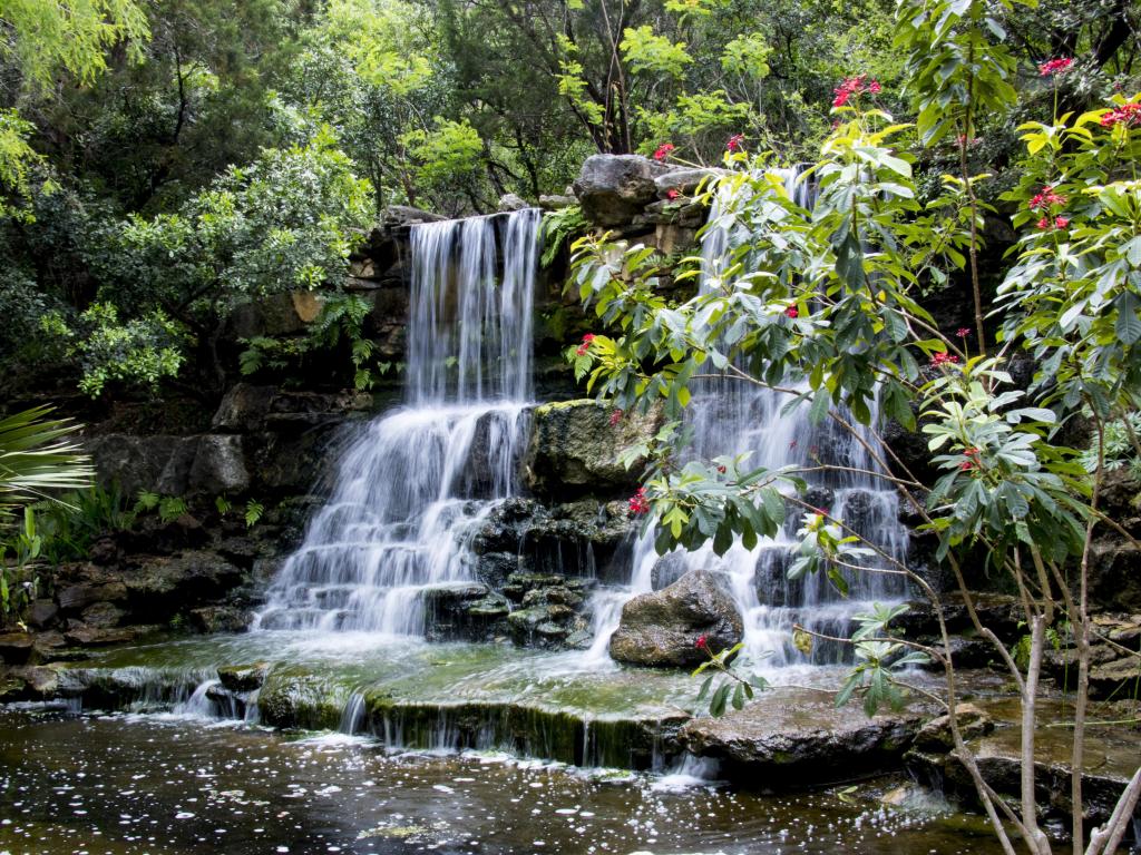 A beautiful waterfall in Zilker Botanical Gardens in Austin, surrounded by lush trees.