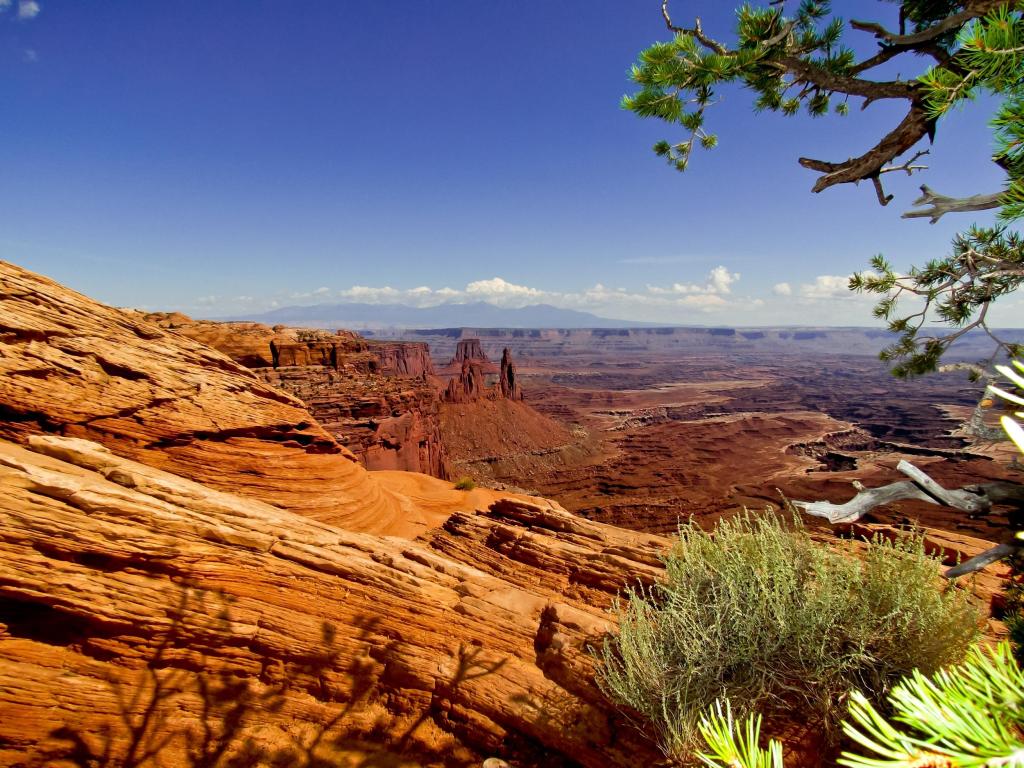 Red rock and blue skies create a magnificent view of canyons, pinnacles, and layered rock, Canyonlands National Park, USA