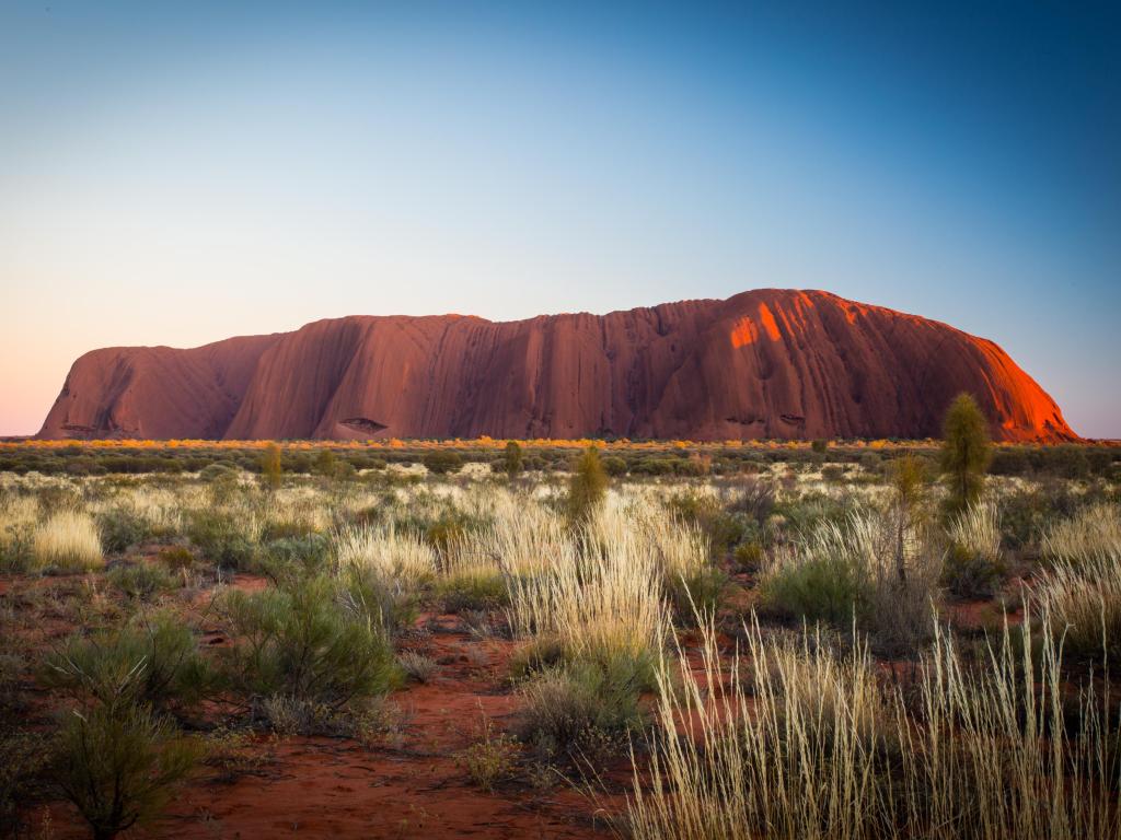 Uluru, Northern Territory, Australia with majestic Uluru at sunrise on a clear winter's morning.