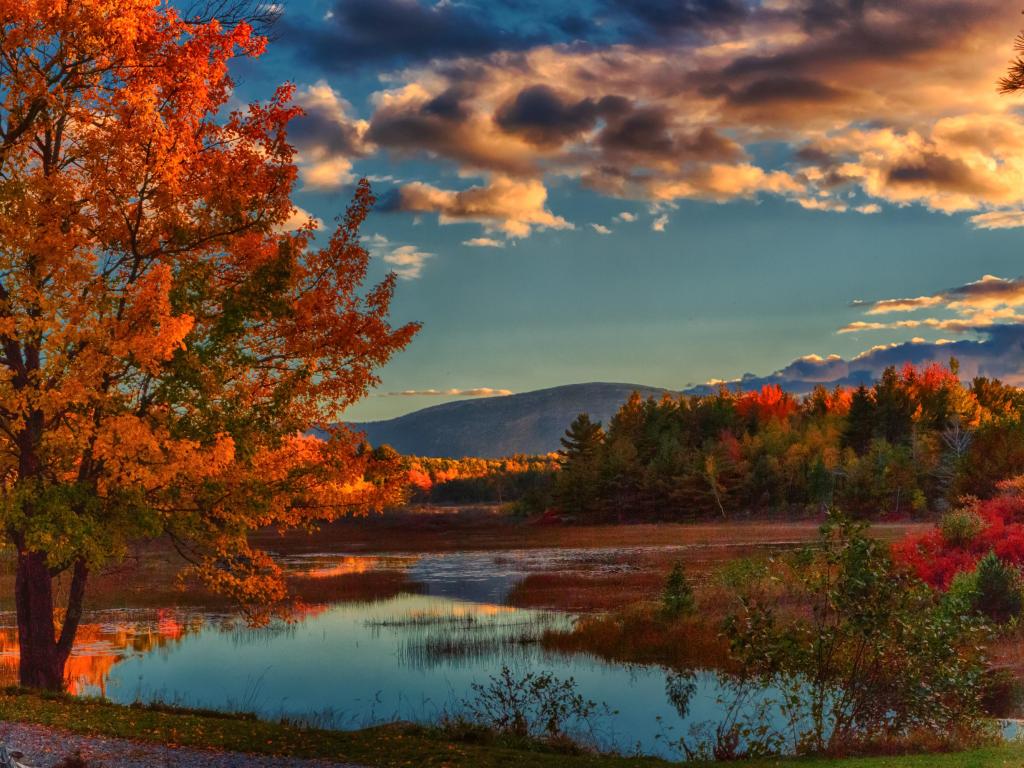 Trees aglow with autumn colours, reflected in still lake water with silhouette of a mountain in the distance