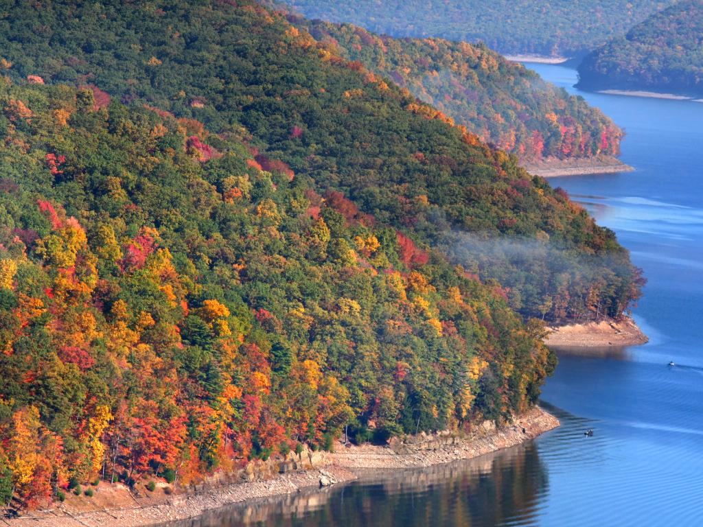 Allegheny National Forest, USA landscape in fall time with trees beside the snaking river.