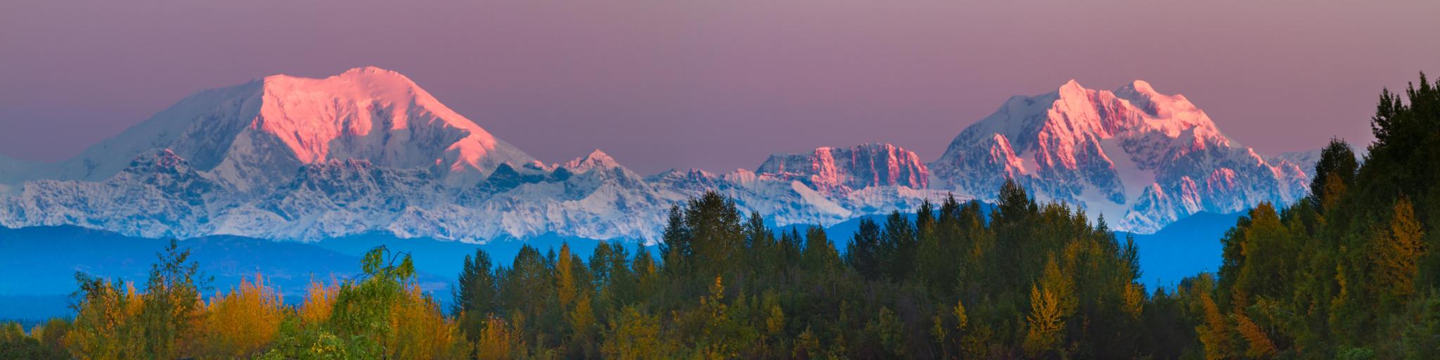Sunrise with a purple-hued sky over Mt Foraker in Denali National Park, Alaska, with forest in the foreground