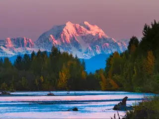 Sunrise with a purple-hued sky over Mt Foraker in Denali National Park, Alaska, with forest in the foreground