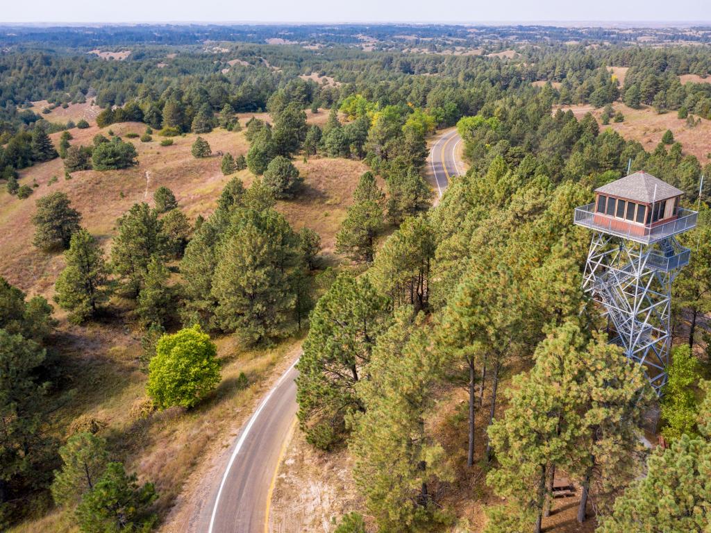 Aerial view of a lookout tower with a road running past it, through lush trees in Nebraska National Forest