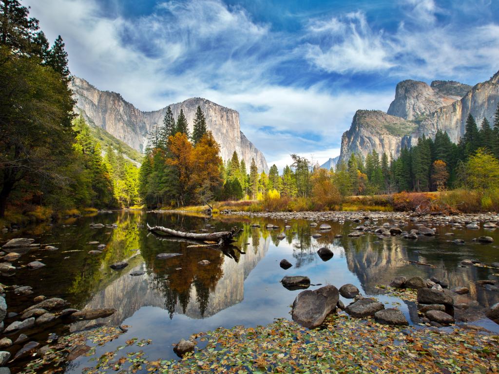 Merced River in Yosemite Valley with El Capitan in the distance in Yosemite National Park, California