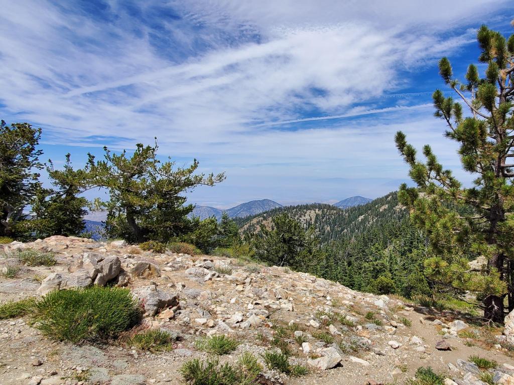 Mount Pinos in the Los Padres National Forest, California, USA on a sunny day.