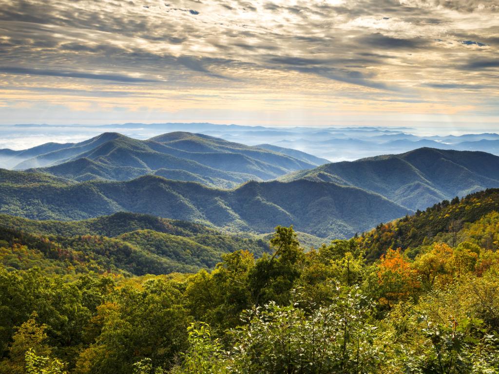 Blue Ridge Parkway National Park, USA taken at sunrise with scenic mountains at fall in the background and trees and bushes in the foreground. 