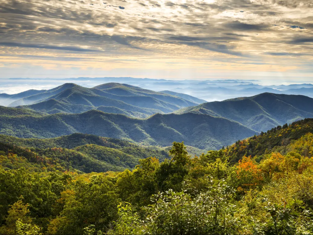 Blue Ridge Parkway National Park, USA taken at sunrise with scenic mountains at fall in the background and trees and bushes in the foreground. 
