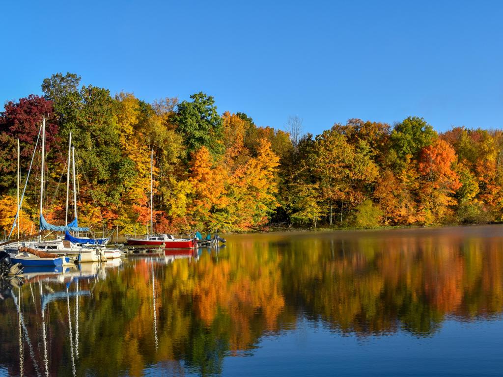 Docked boats at Clear Fork Reservoir, Mansfield, Ohio on a lake with fall foliage reflected on still water, with a cloudless blue sky 