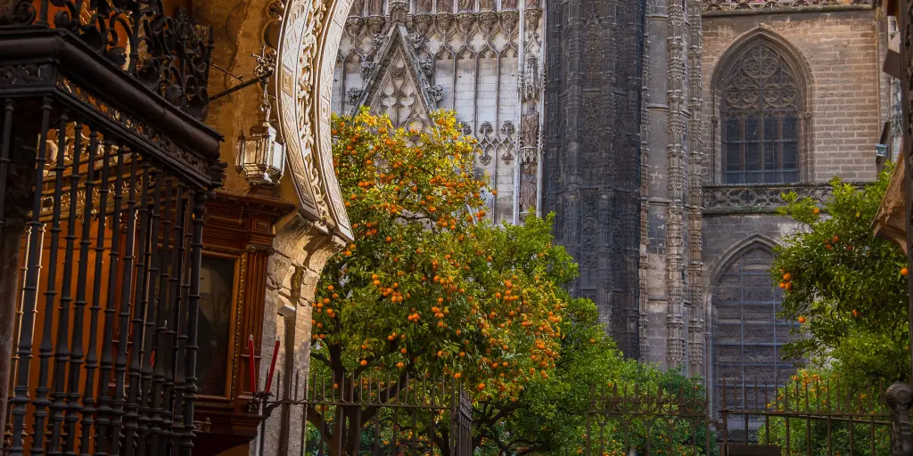 Orange trees in the Patio de los Naranjos stand out against the grand Gothic Seville Cathedral