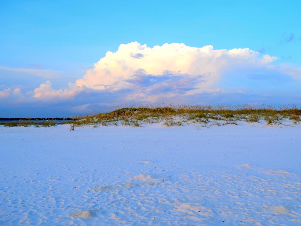 White Sand Dunes of Shell Island