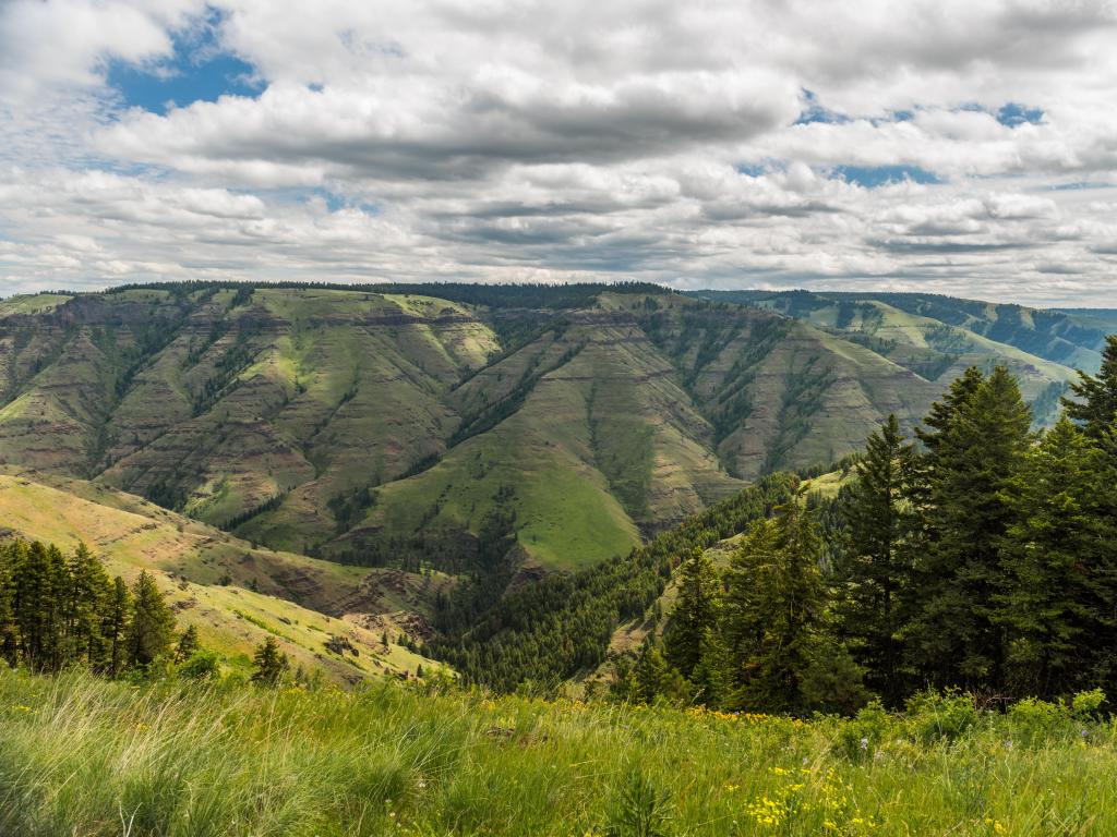 Wallowa-Whitman National Forest, USA taken at the Nez Perce Historic Site with a view of the Joseph Canyon in the distance on a cloudy day.