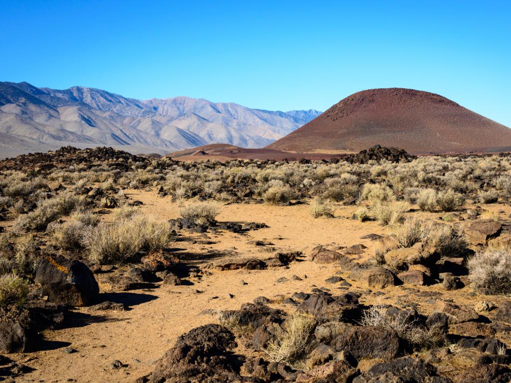 Mojave National Preserve, USA with a desert landscape, shrubs in the foreground and hills in the distance taken on a sunny day.