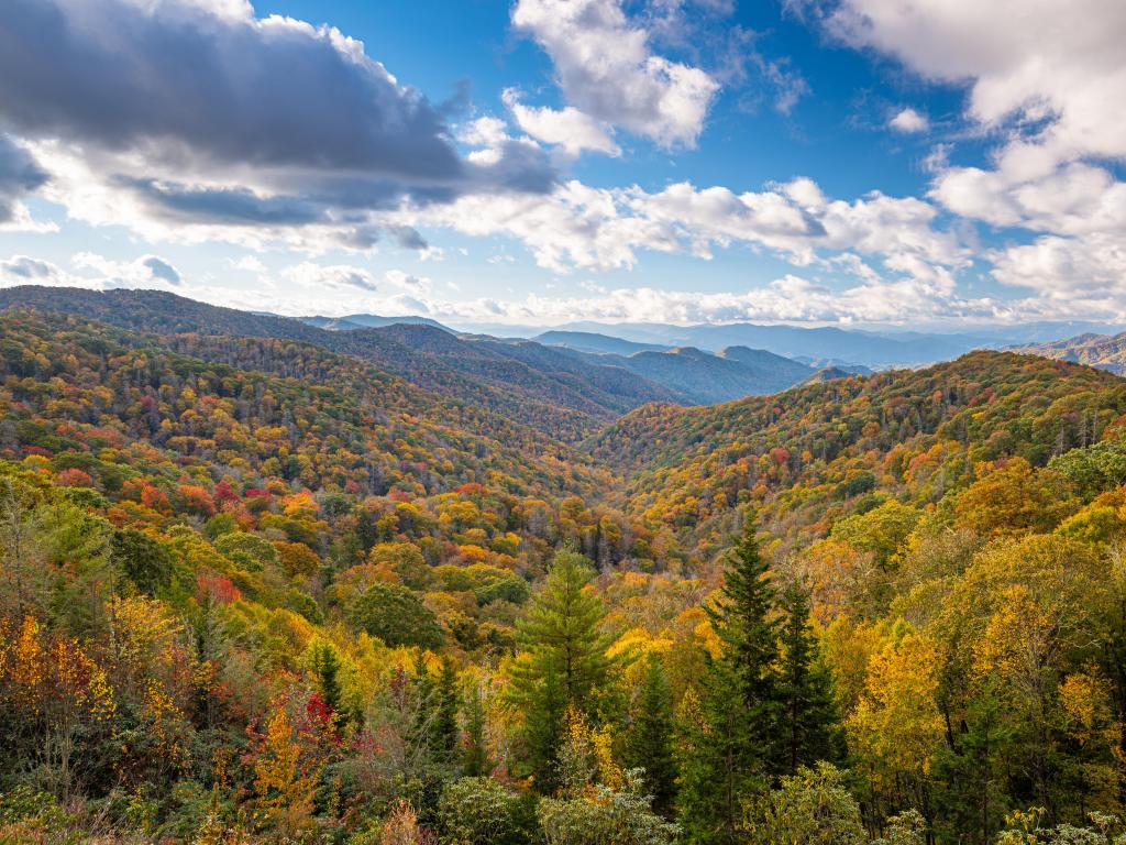 Great Smoky Mountains National Park, Tennessee, USA overlooking the Newfound Pass in autumn.