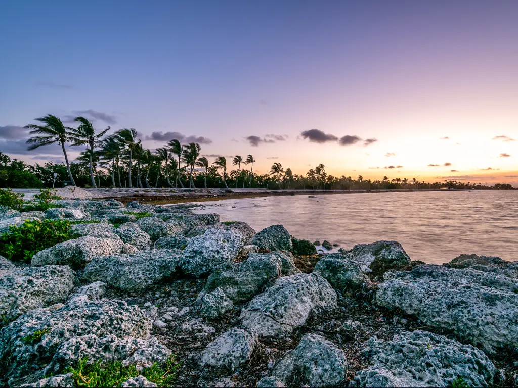 A scenic view of the ocean along Highway 1 also known as Overseas Highway at dawn with rocks and some coconut trees.