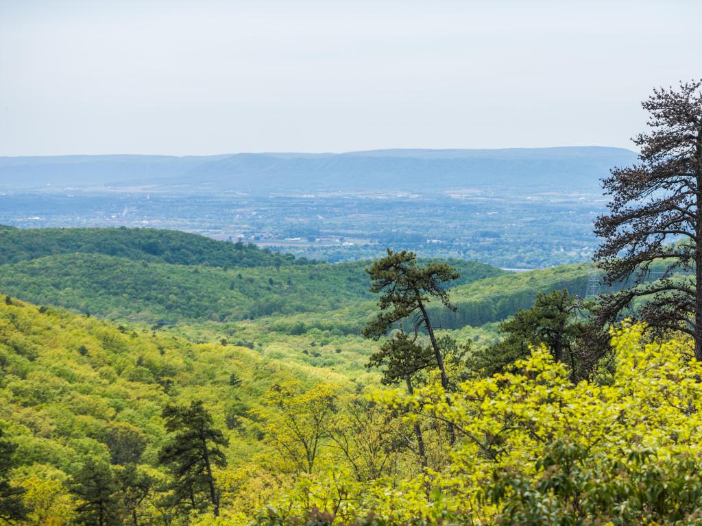 Michaux State Forest, Pennsylvania, USA with the landscape of the area around Long Pine Reservoir in Michaux State Forest in Central Pennsylvania.