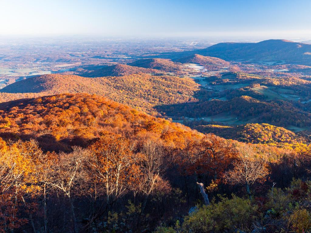 Shenandoah National Park, USA taken at Browntown Valley with a view from Skyline Drive at fall. 