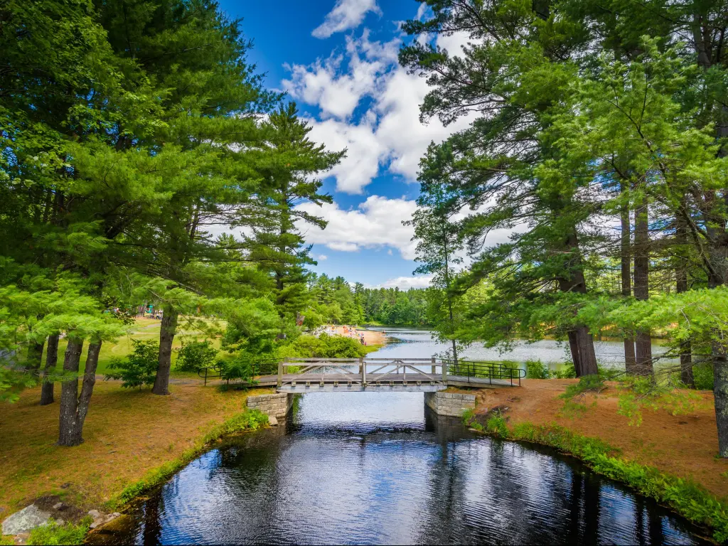 Bridge and pine trees at Bear Brook State Park, New Hampshire