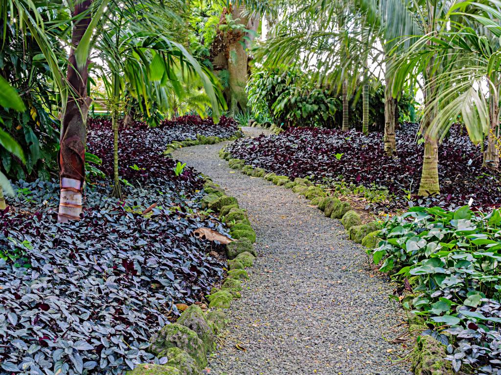 Gravel pathway through the lush jungle setting of Wahiawa Botanical Gardens on Oahu, Hawaii