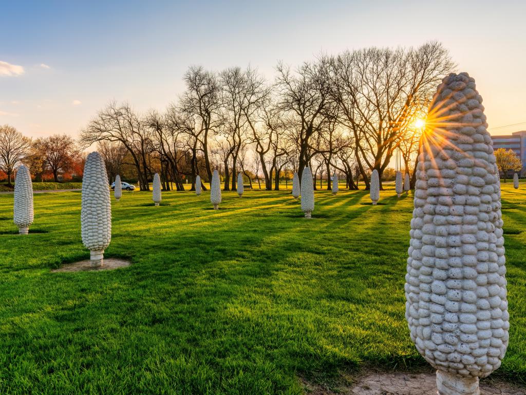 Rows of corn stone sculptures in Dublin, Ohio during a sunset