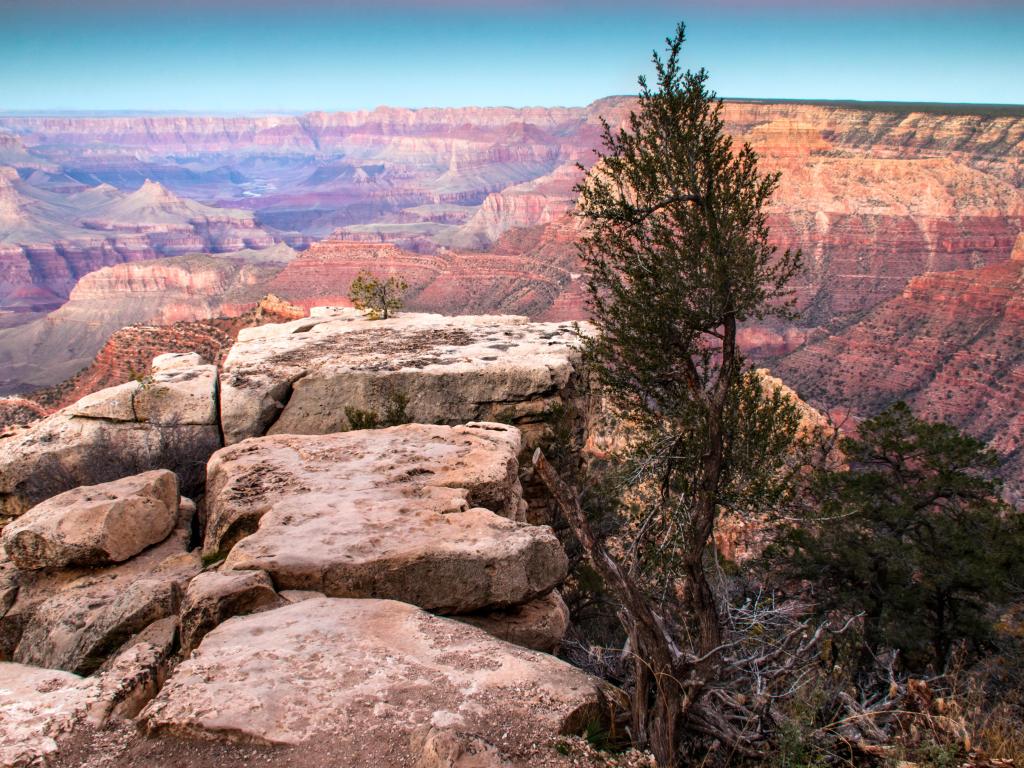 Grand Canyon National Park, Arizona, USA with a dramatic landscape photo of the Grand Canyon, boulders and a tree in the foreground and canyons in the distance.