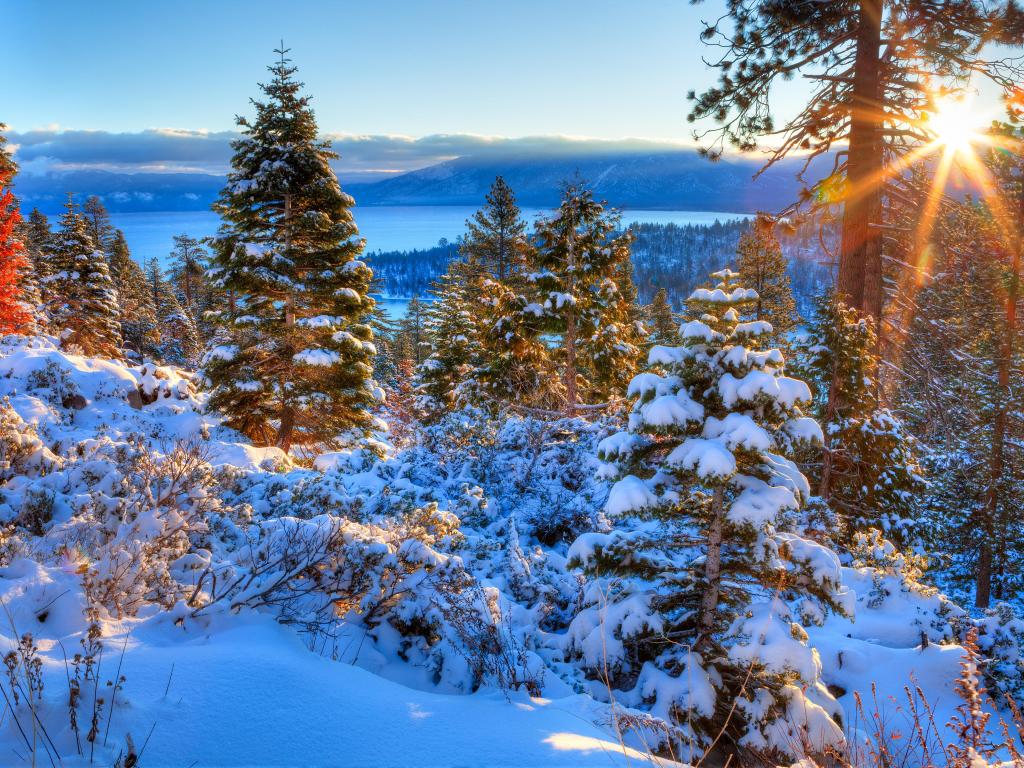Sunrise over snow capped mountains and pine trees at Lake Tahoe, California at Sunset