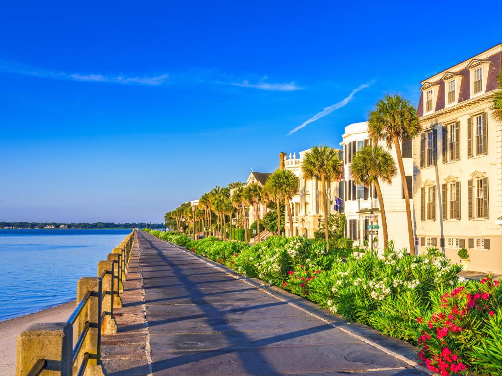 View of colourful historic homes and palm trees along the waterfront on The Battery, with bright blue skies and vibrant flowers along the waterfront walkway
