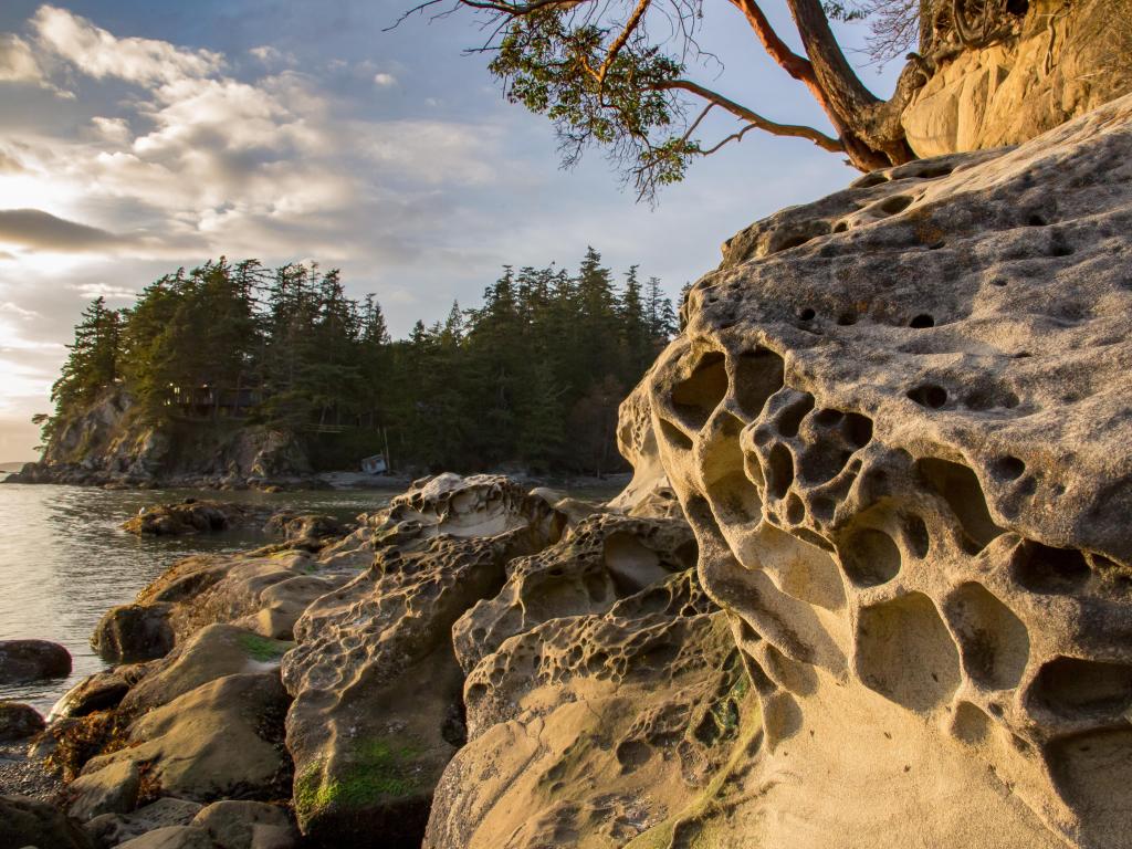 Larrabee State Park, Washington State, USA with rock formations in the foreground and a tree overhanging, the lake in the distance and trees, taken as the sun is starting to set.