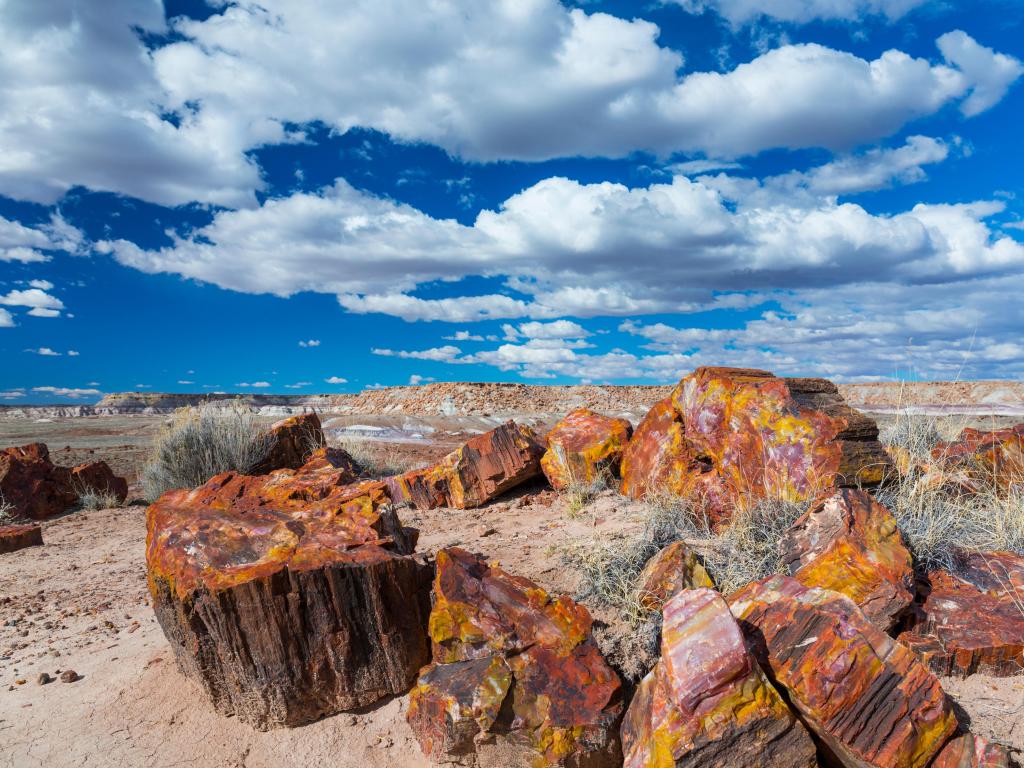 Petrified wood at the badlands of the Petrified Forest National Park showing the bright blue sky with a handful of clouds