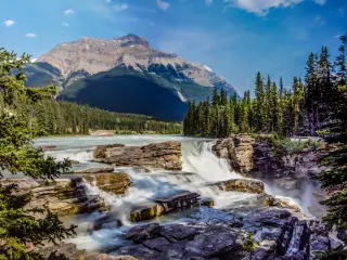 View of Athabasca Falls with white foaming waters over rocky surface, with green forests and mountains in the background against blue skies