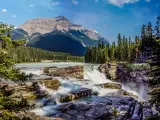 View of Athabasca Falls with white foaming waters over rocky surface, with green forests and mountains in the background against blue skies