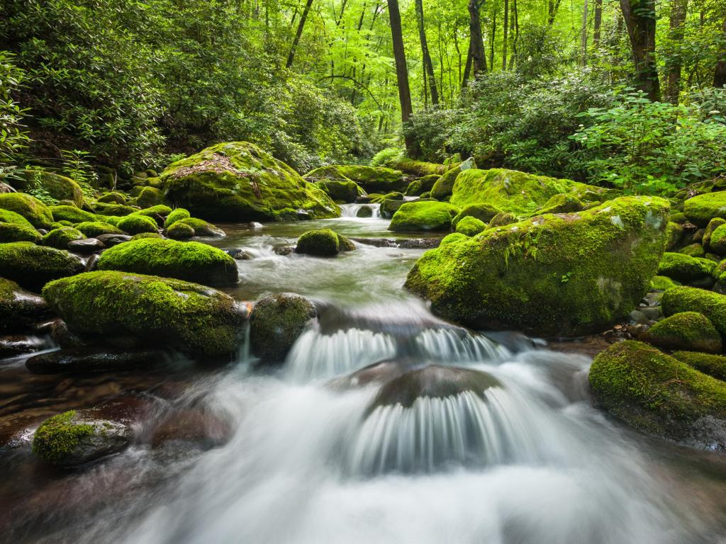 Great Smoky Mountains National Park Roaring Fork Green Moss River Cascade just outside of Gatlinburg Tennessee