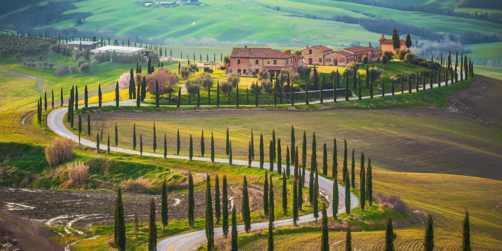 A road winds through sunny fields in Tuscany, Italy